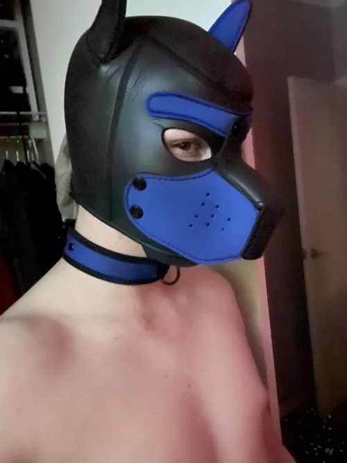 Wanna be my master ? by Dhdnjdjdnndmdkdimdms