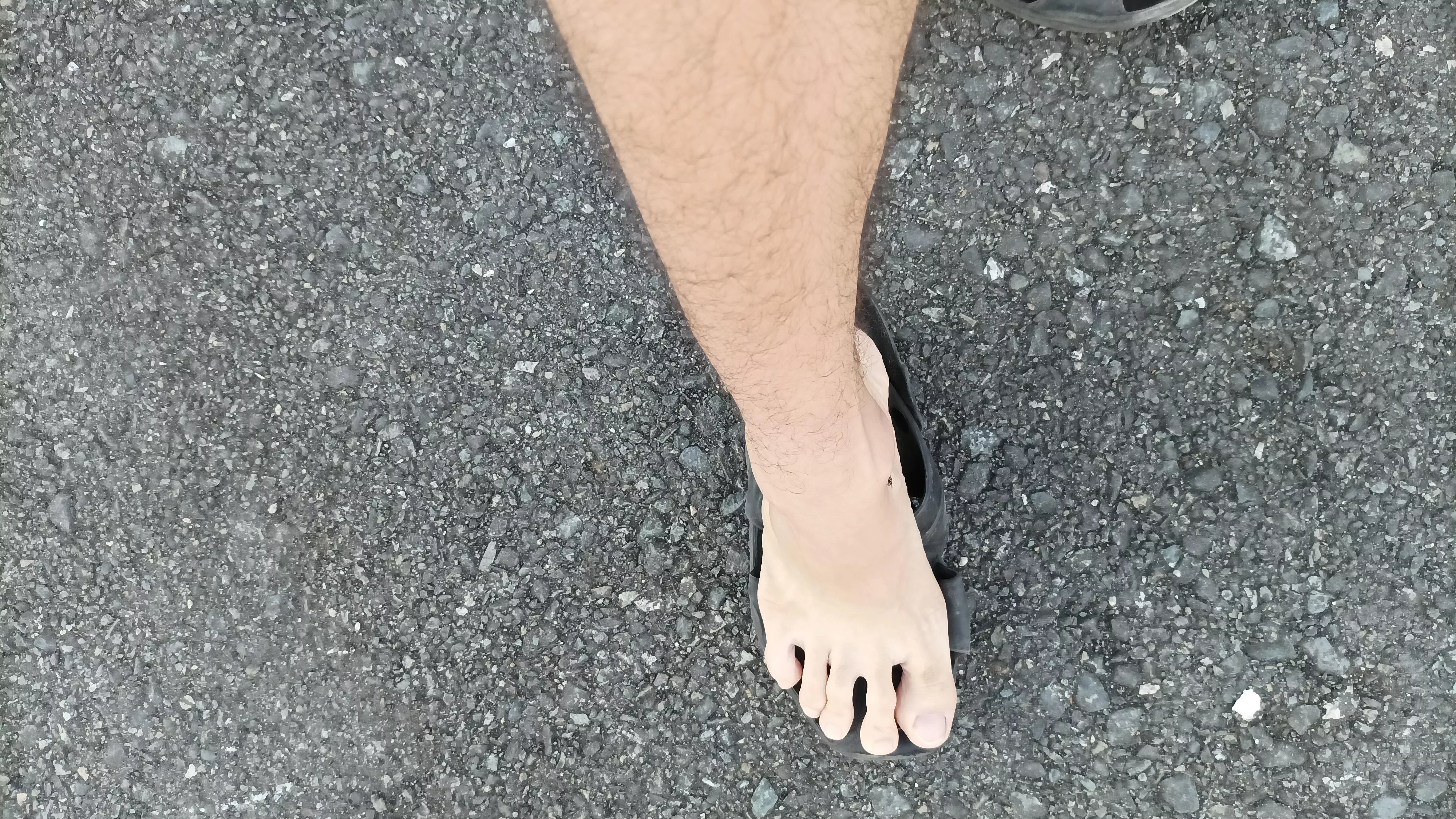 Wanna be stepped on? posted by Iggy998