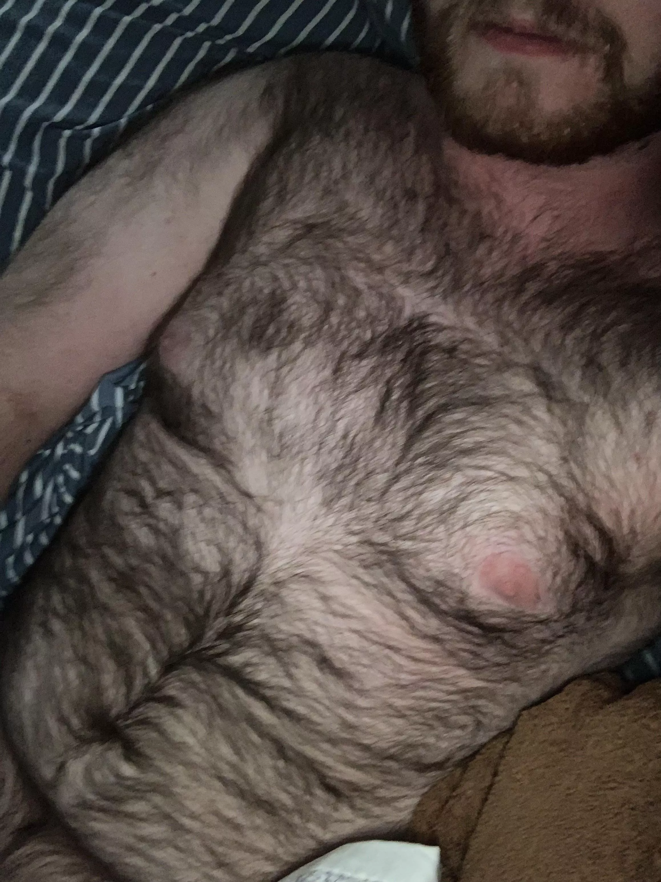 Wanna come over and cuddle? posted by evilmrclean