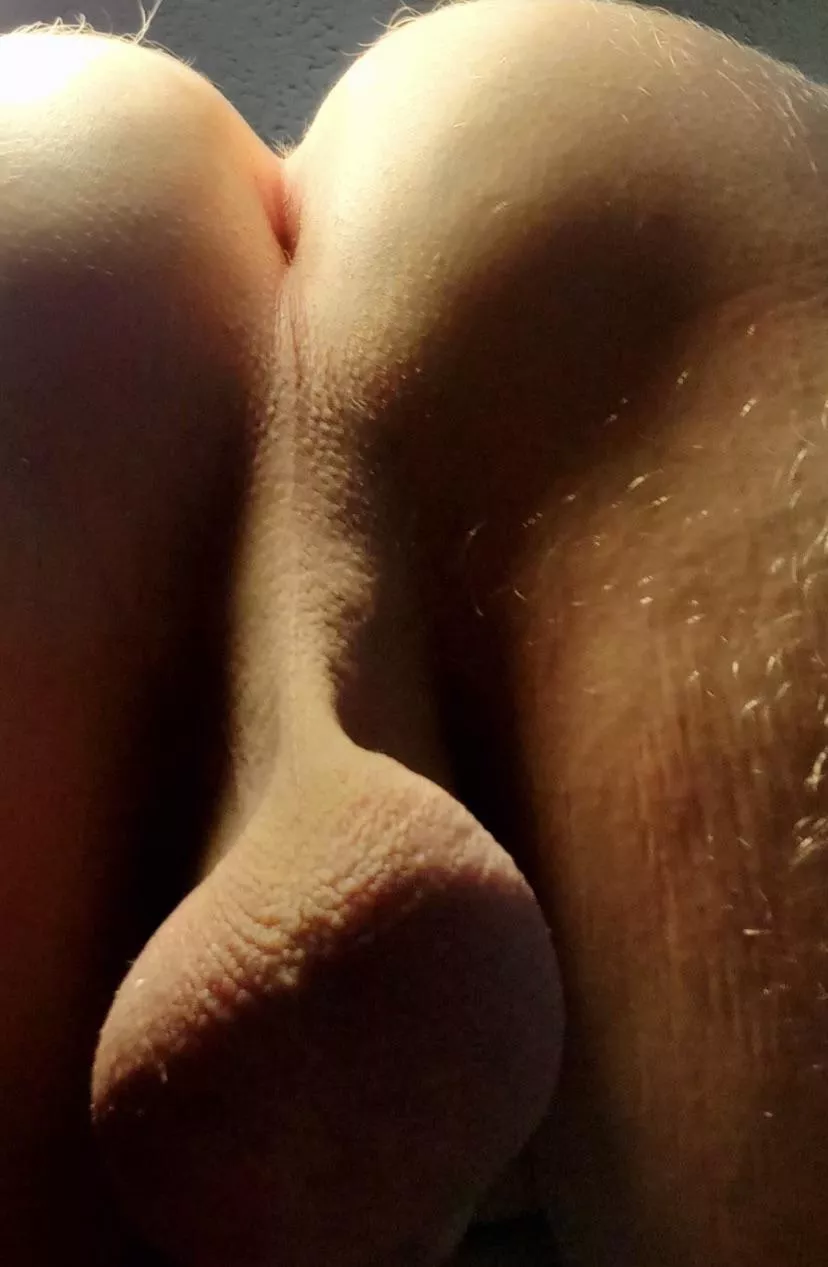 Wanna eat my hole out or???? posted by whyfightcash