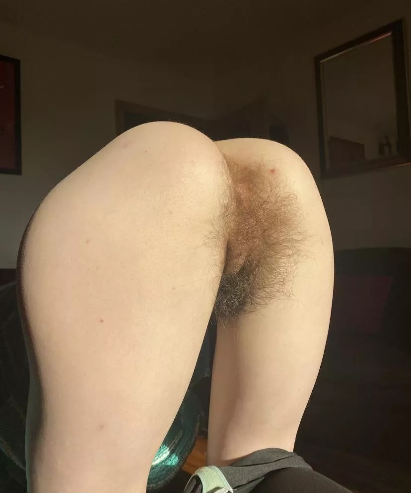 Wanna explore my fluffy asshole? posted by Many-Aioli688