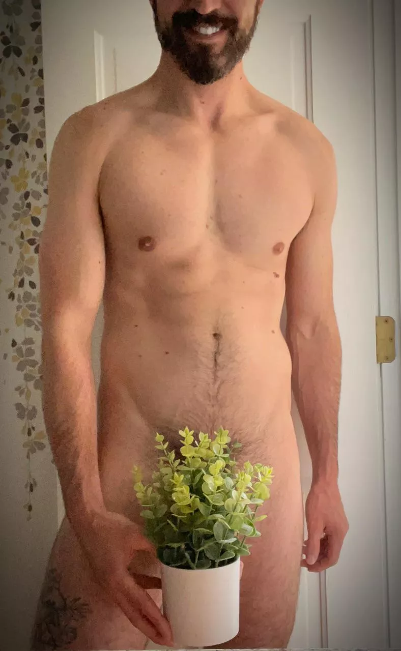 Wanna help me plant some seeds? posted by Naps_n_dabs