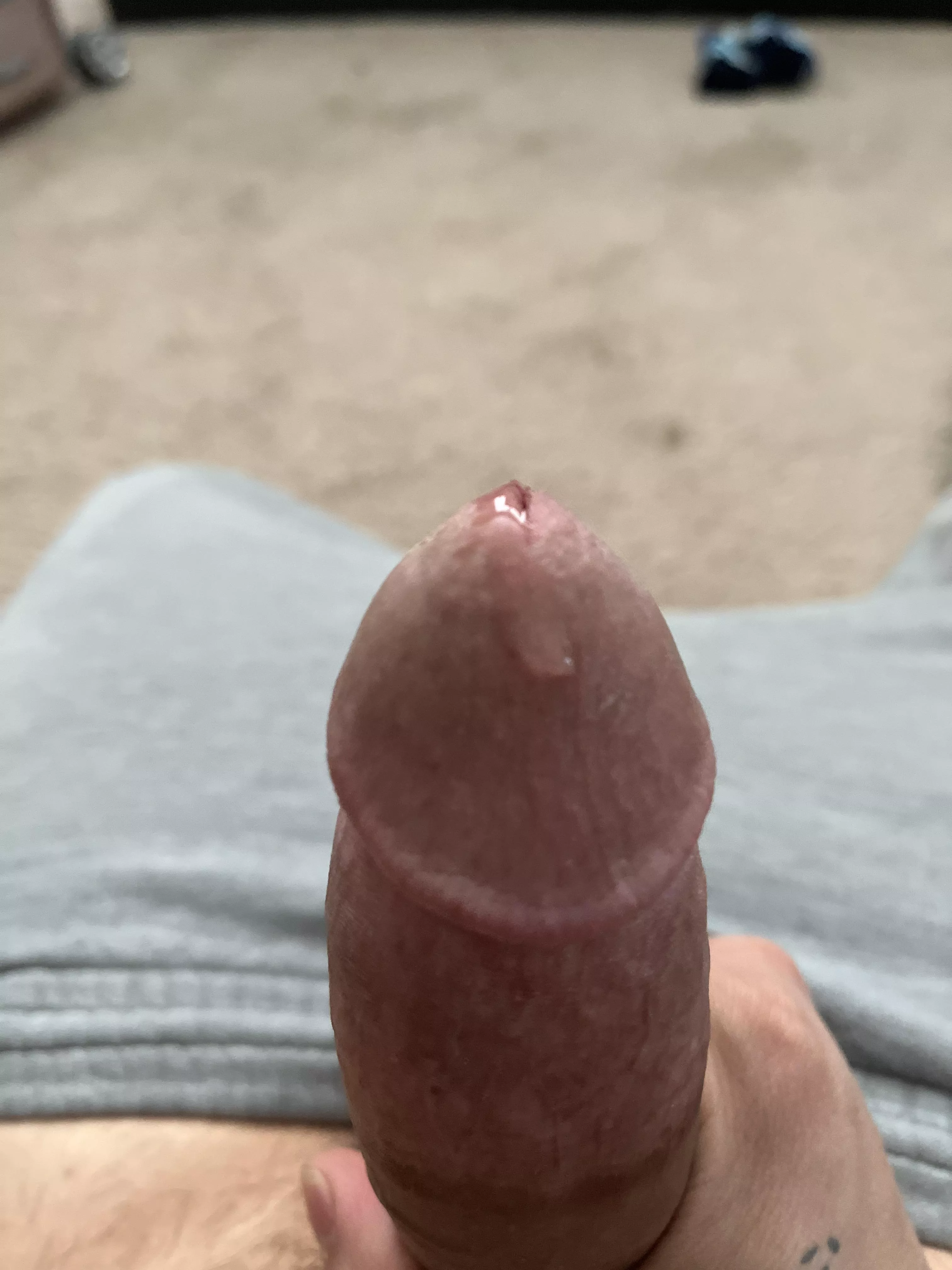Wanna lick it up posted by StonedDad666