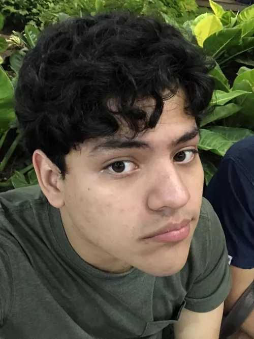 Wanna meet in animal crossing? by loghtyan