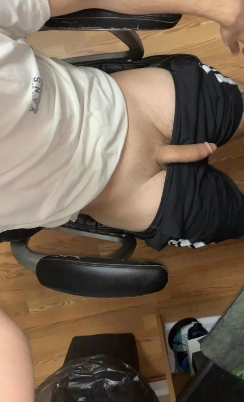 Wanna see me hard? posted by chinaboy123