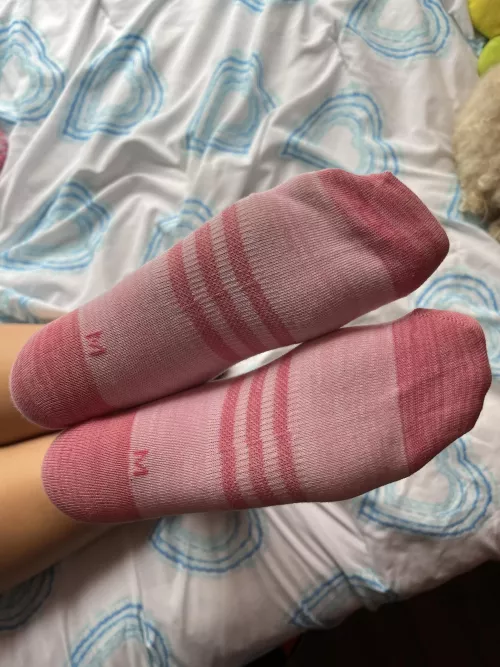 Wanna see me more in socks sugar 😜 by Vanessaxo777