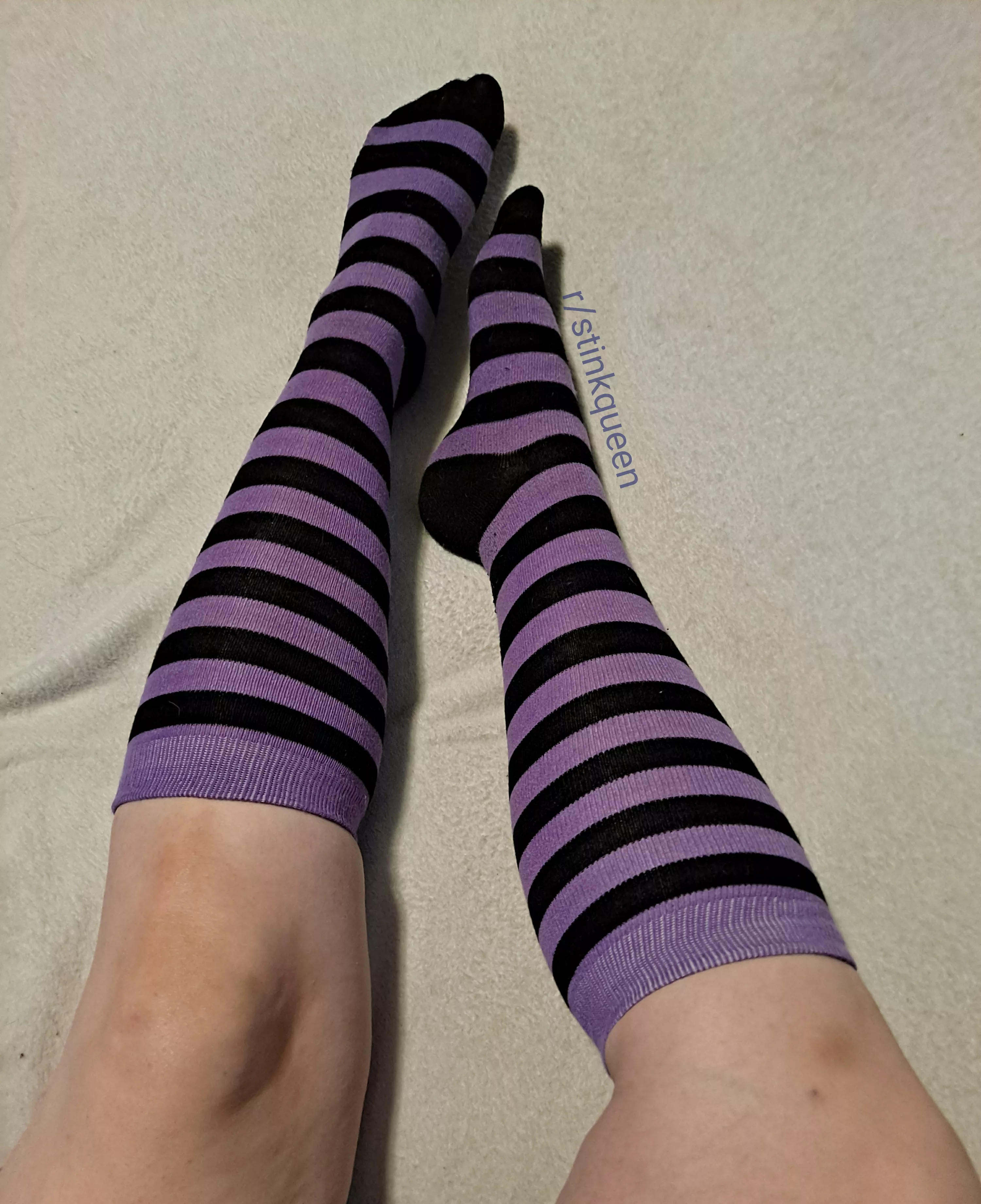 Wanna see my cute lil toes? posted by SockStinkQueen