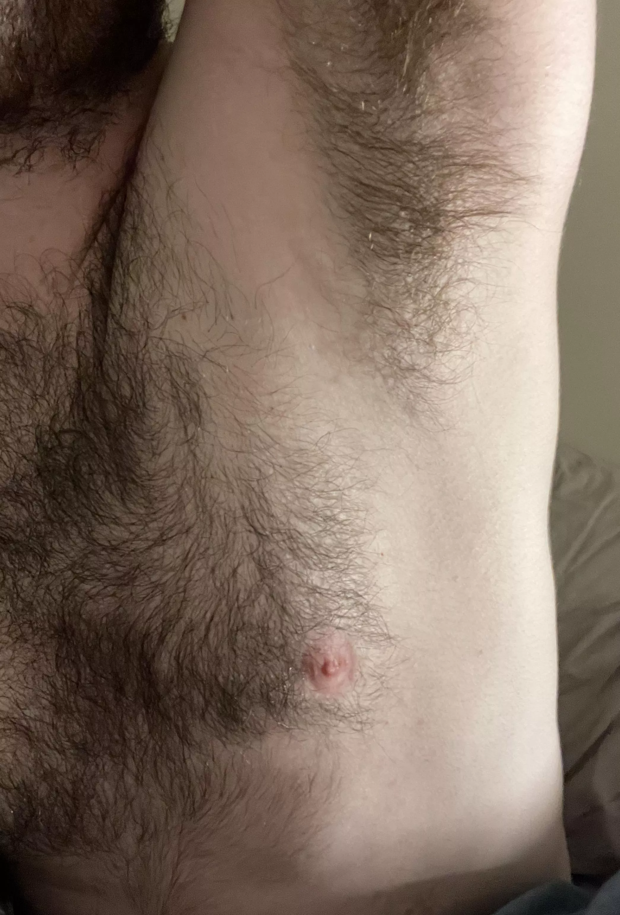 Want a lick? posted by RandomPlatypus22