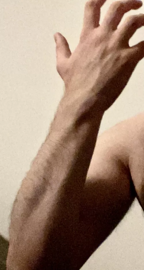 Want a slap? by Enough_Leg_9747