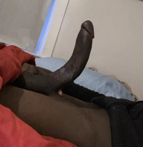 Want a taste or a feel ;) by [deleted]