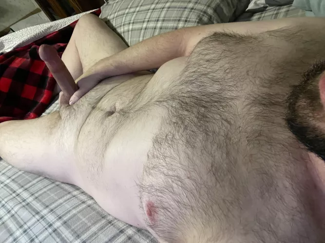 Want an otter for bedtime 🥺 by just_matt7