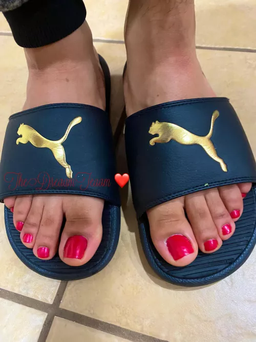 Want my sexy toes worshipped 😉 by TheDreaamTeaam