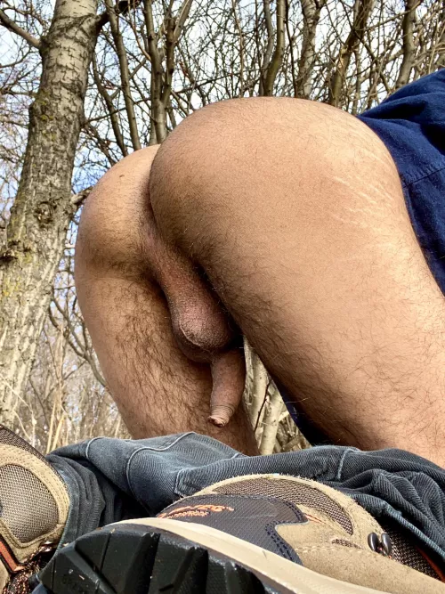 Want to be my hiking buddy? by 5050cocktail