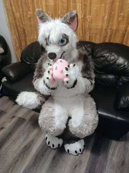 Want to come to cuddle with me? I can offer you some of my Boba Tea 🍵 by Bigdogwoofy