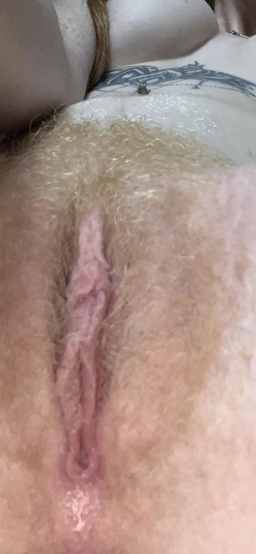 Want to help me repopulate redheads posted by mushroomtriq