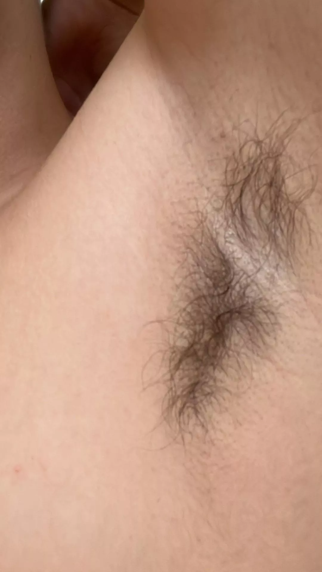 want to try a taste? posted by Top_Tree6641