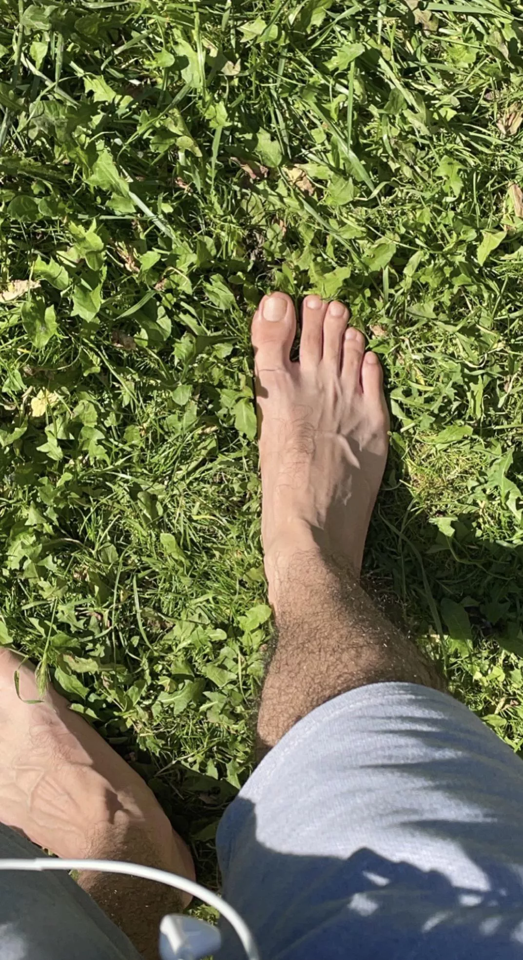 Warm grass feels great 🤩 posted by Kaxxx112