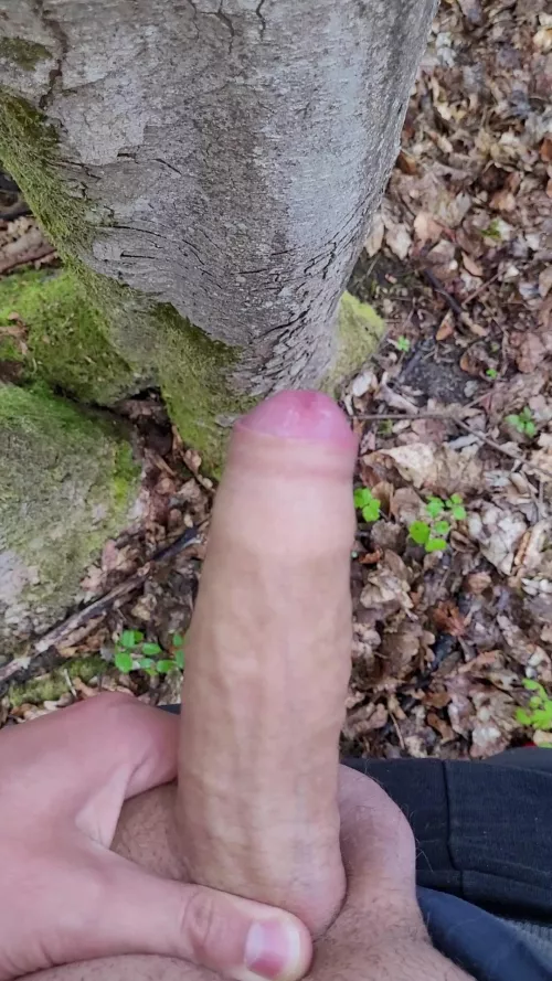 Was a nice Day again to pull out my cock by koloto1122