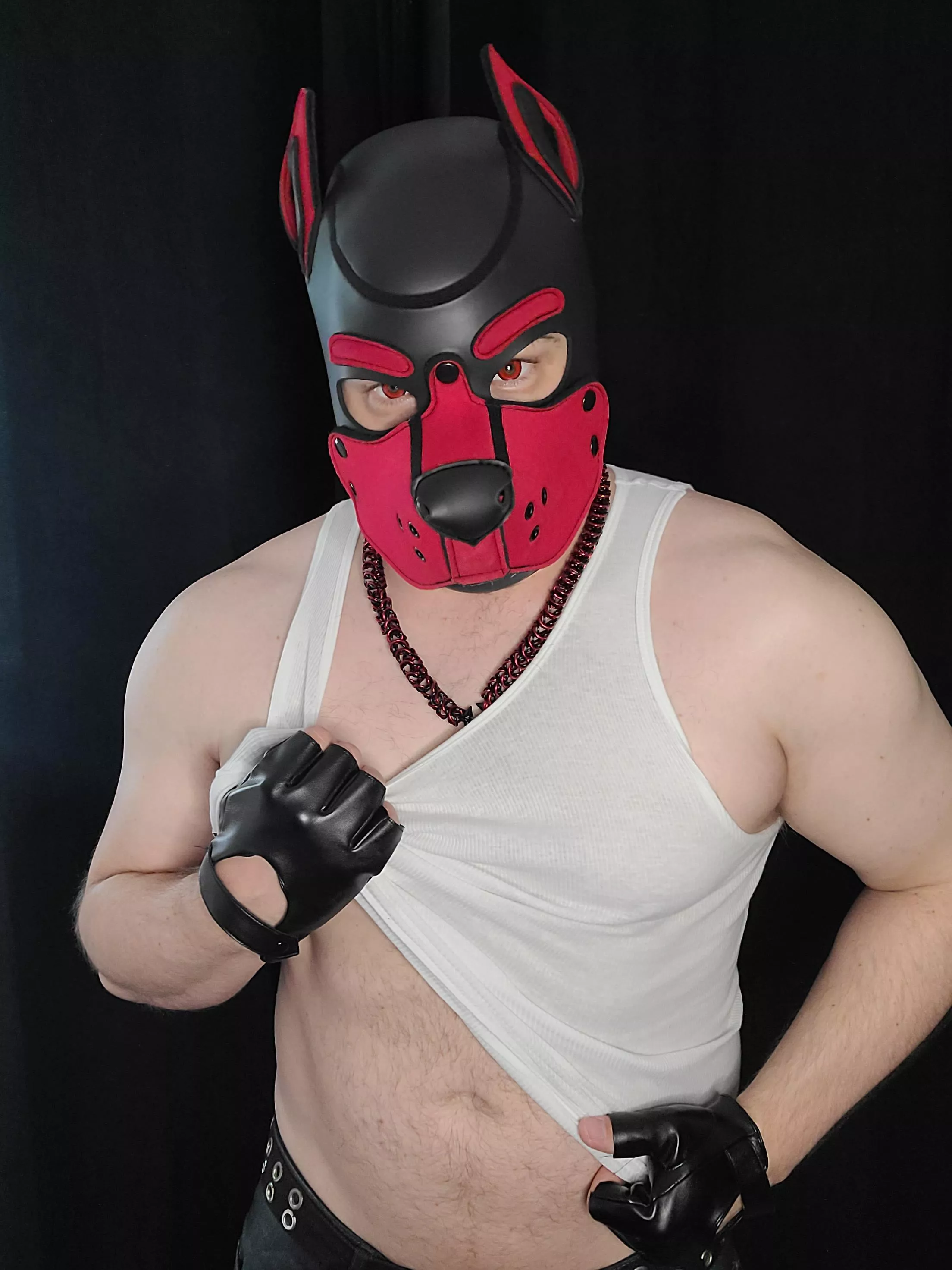 Was feeling cute earlier posted by PupKarma