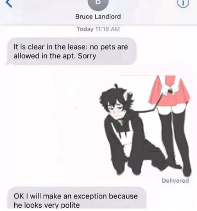 Was texting my landlord posted by anjellapein