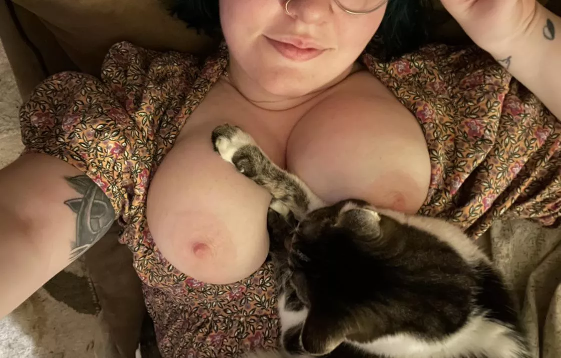 was trying to take a quick nude and my cat decided it was his time to shine 😅 posted by xetrics