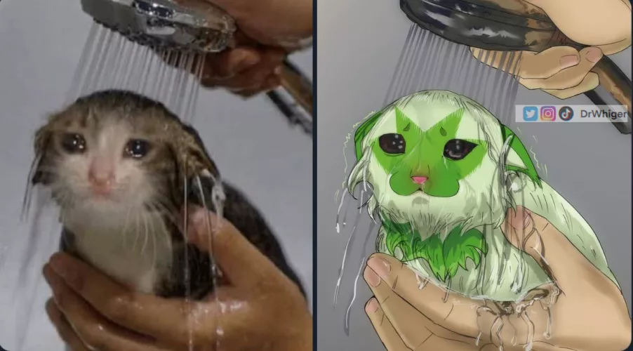 Watering da cat by MEMEdicne_DrWhiger