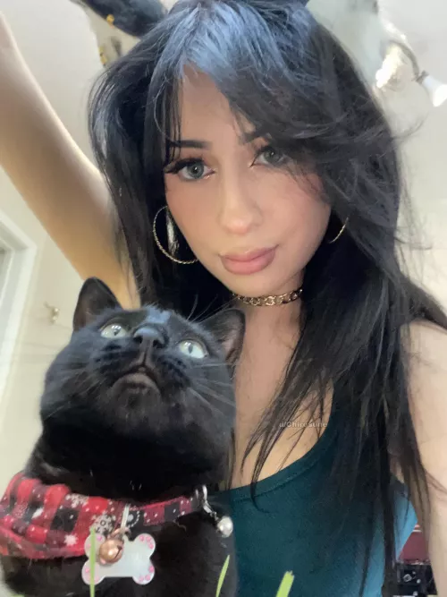 We demand headpats. by Chirosune