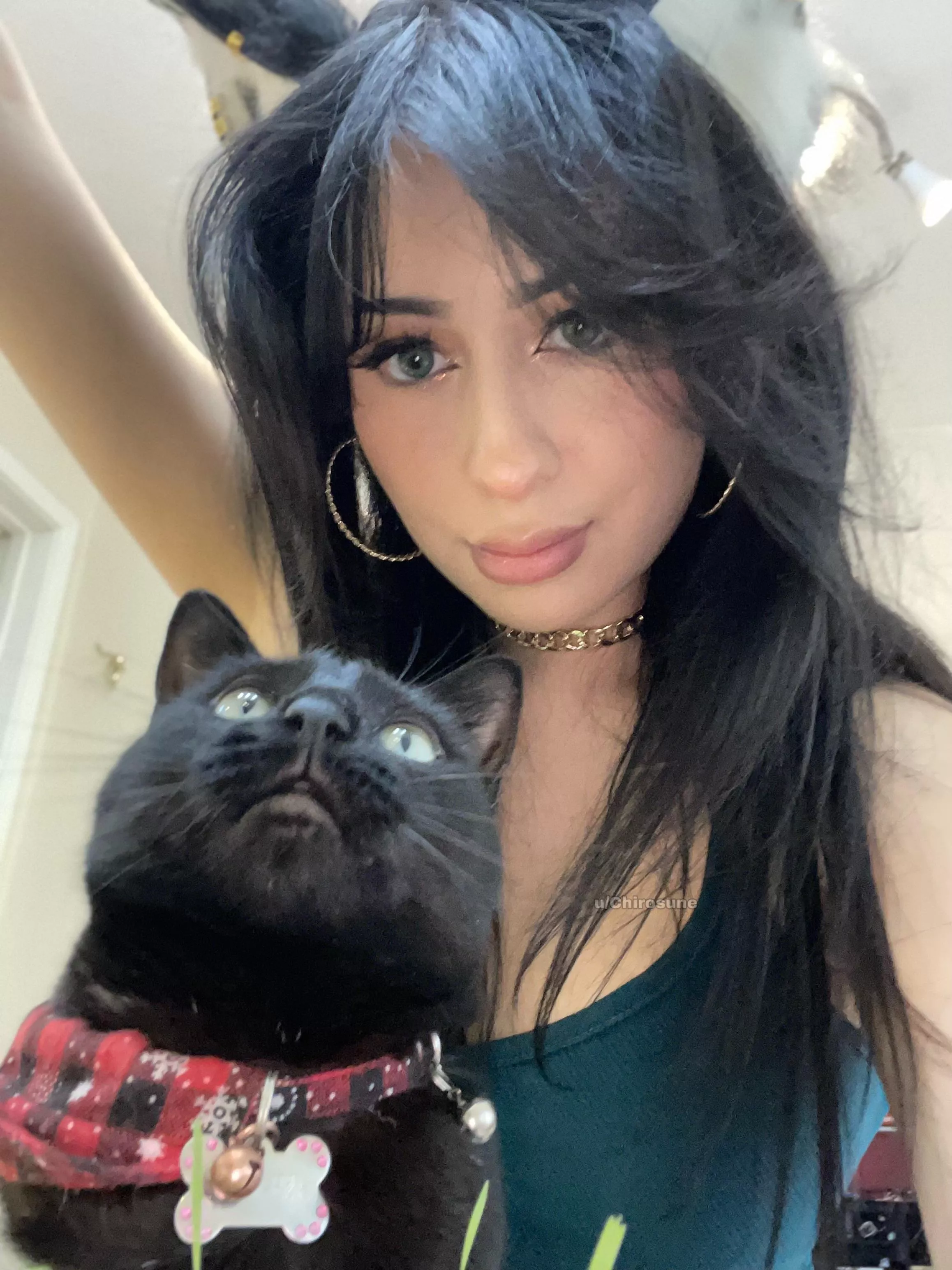 We demand headpats. posted by Chirosune