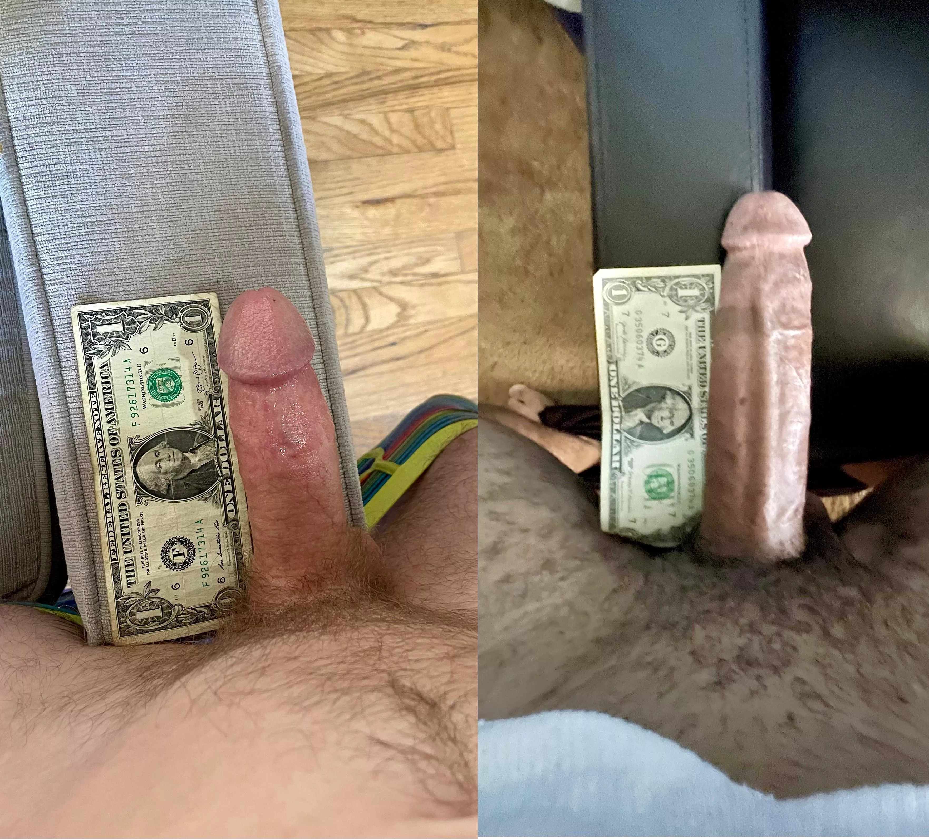 we dollar bill compared. What do you think? 💵 posted by Warm-Ad4665