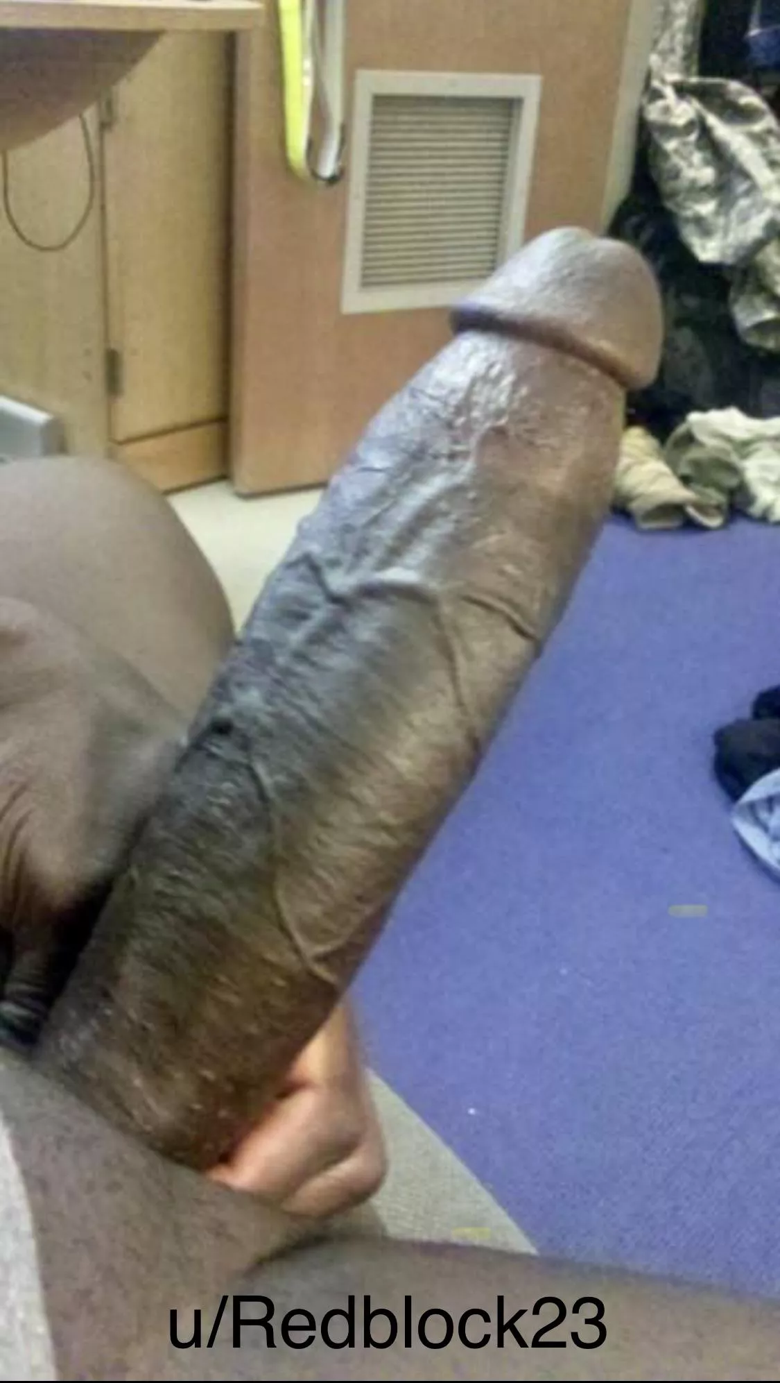 We need a bunny 🐰! posted by redblock23