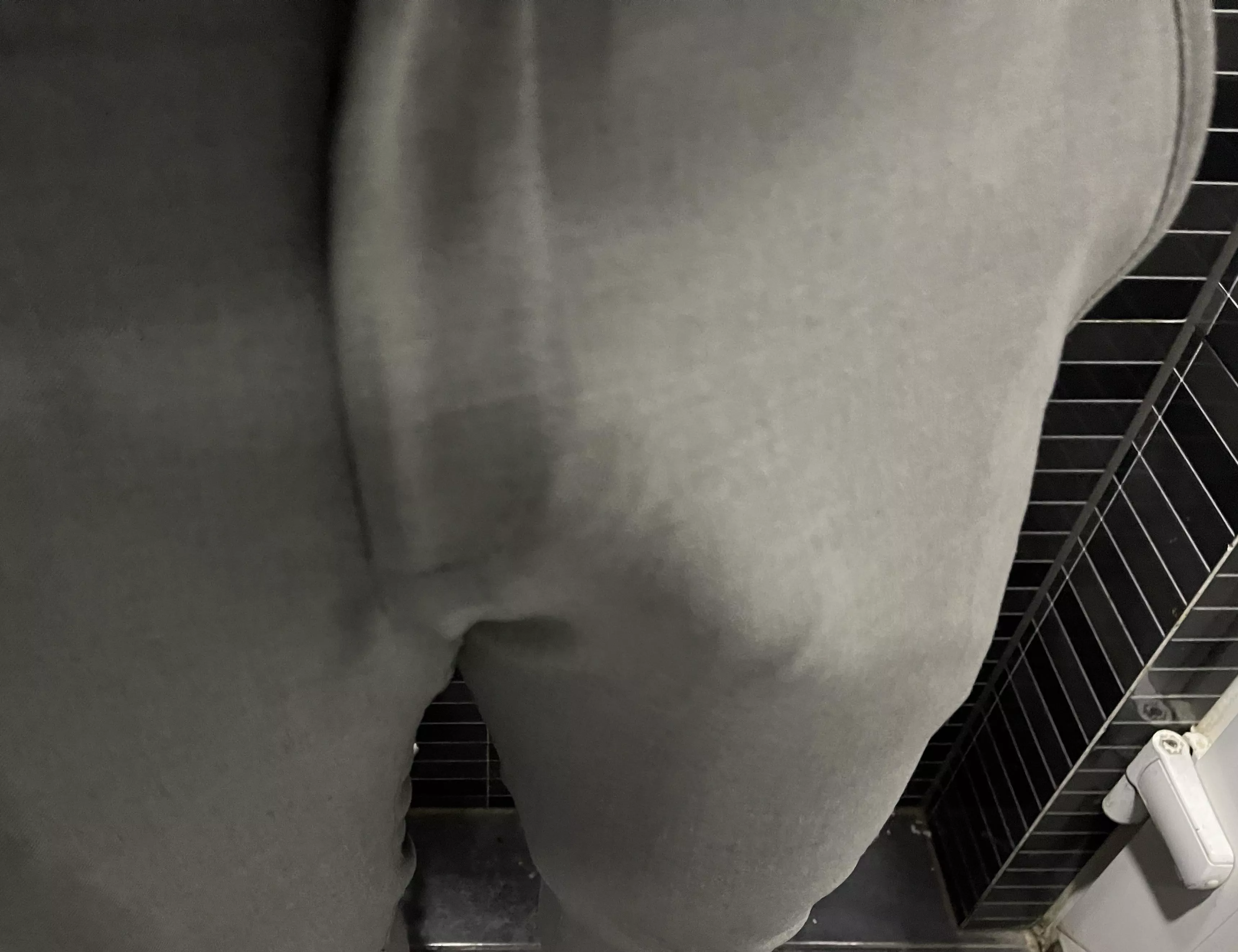 Wear grey pants they said 😁 posted by albish