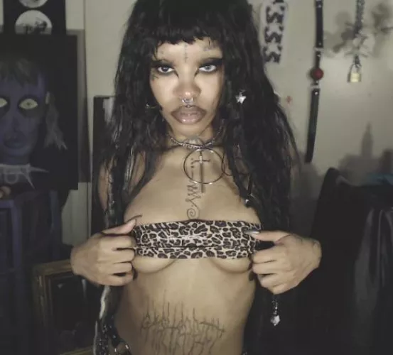 Webcam vixen 🖤 by xxxenovia