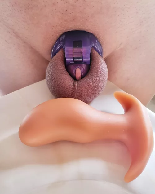 Weekend Requirement for Slave. by New-Courage9199