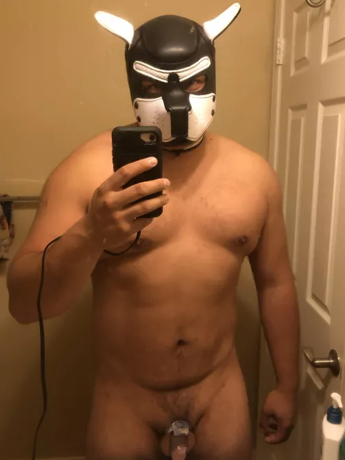 Weight is going up and I’m jacking every day so back into the cage I go! I do better when I have some structure and discipline like this by KingofLiquidSwordz