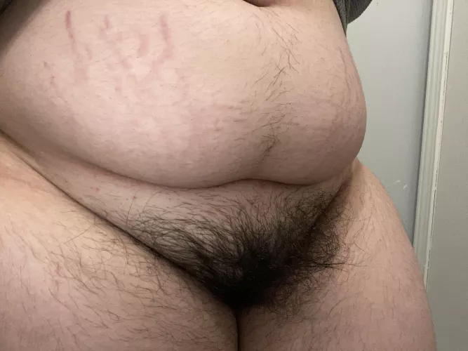 welcome to the jungle by spicytaurus042