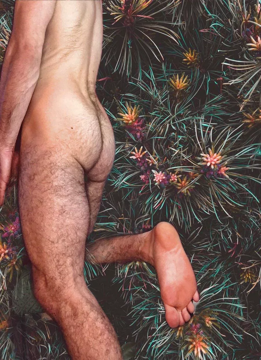 Welcome to the jungle posted by BJBLUNTZ