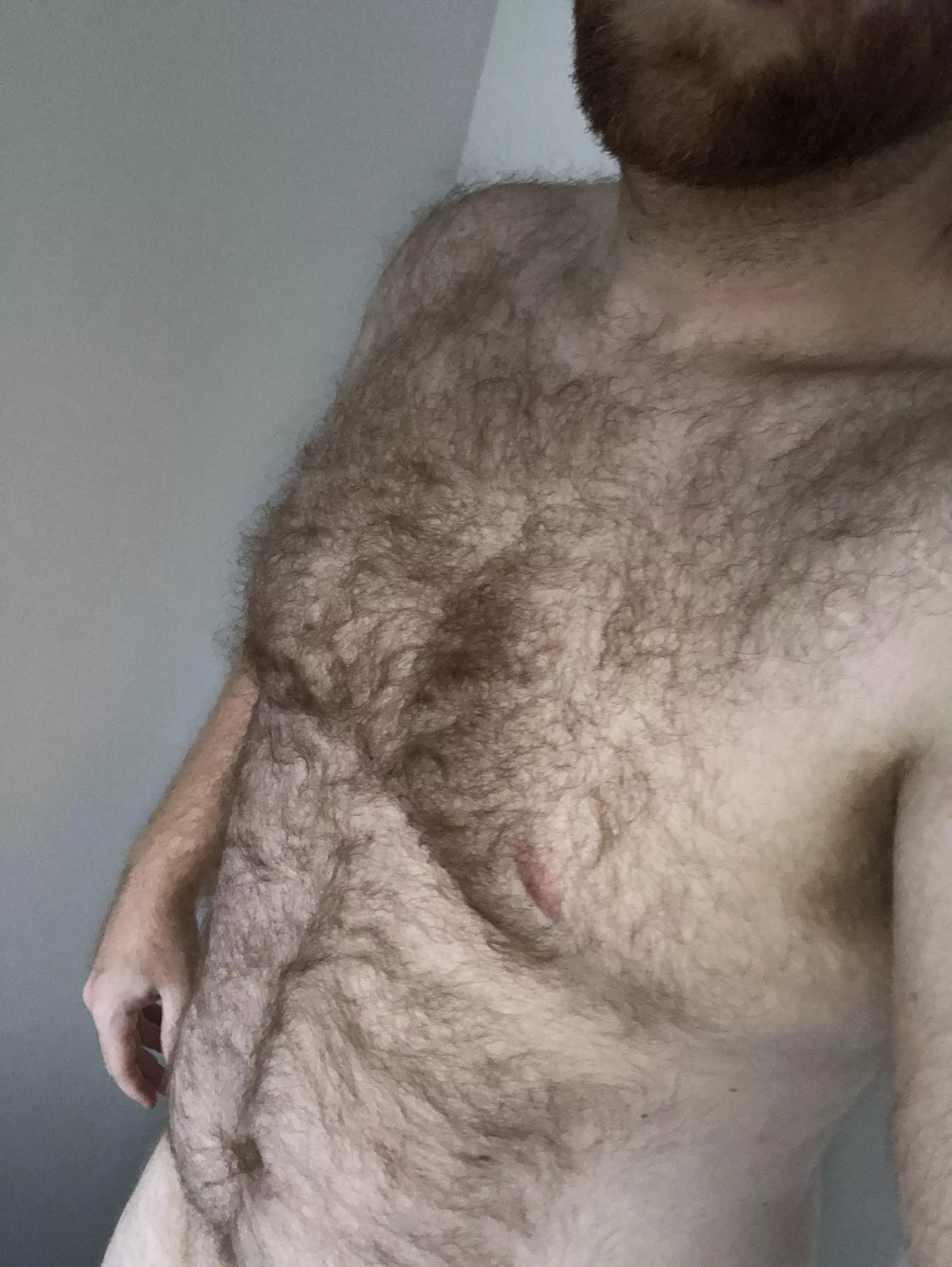 Welp, here goes nothing. posted by TheWindyKingOfLego