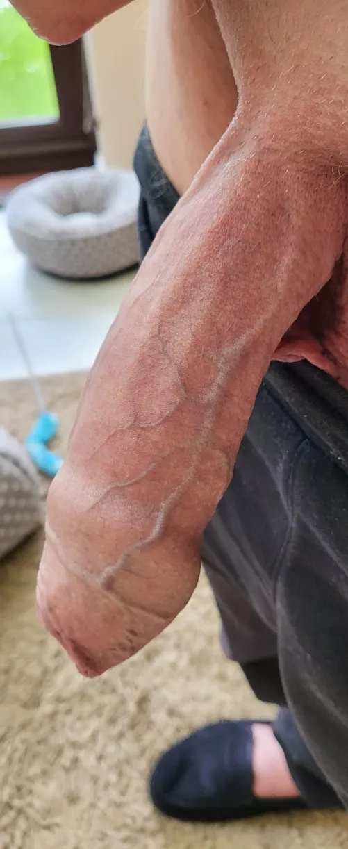 Welsh Dad, 56! What do you all think?! 🤔 by jackwills004