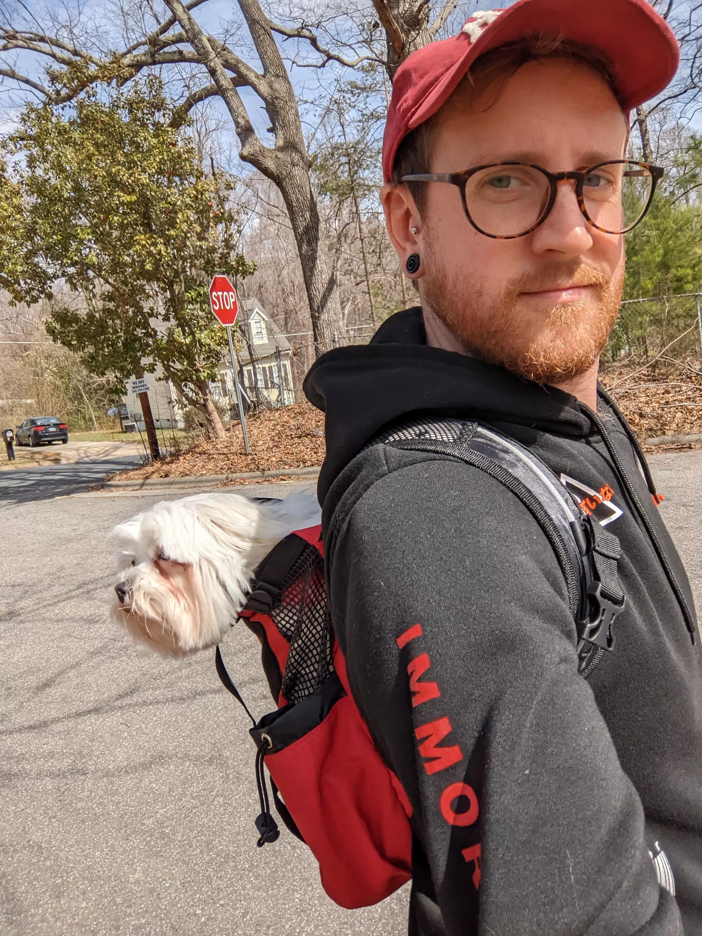 we're going on an adventure! posted by Mr_Storms_