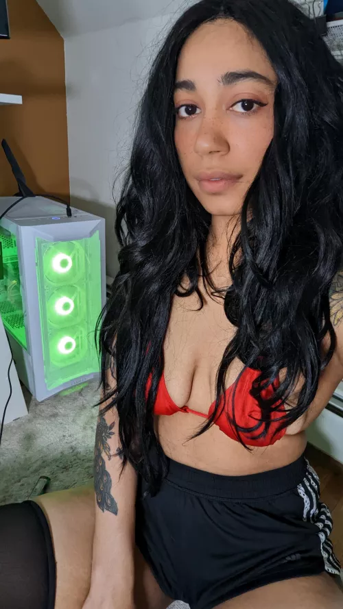 West African x German by TarooRooot