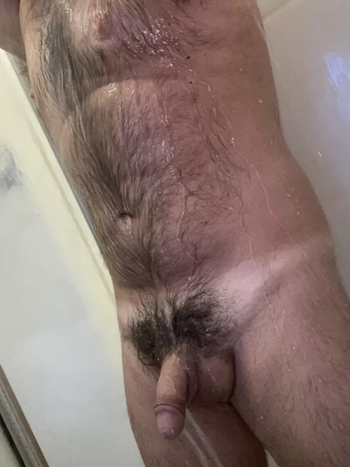 Whaddya think? by Comfortable-Engine45