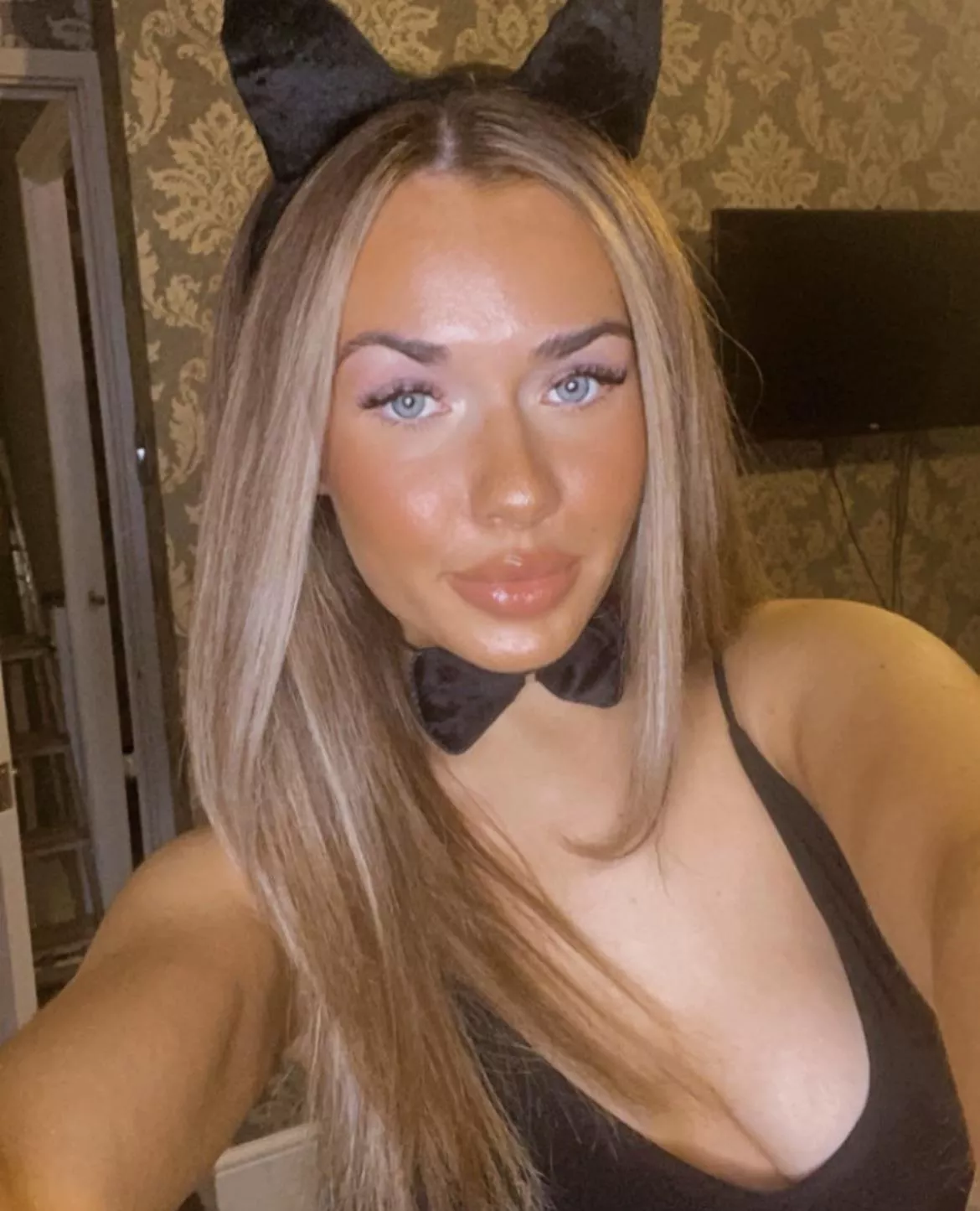 What a chav🐰 posted by FunkyCat321