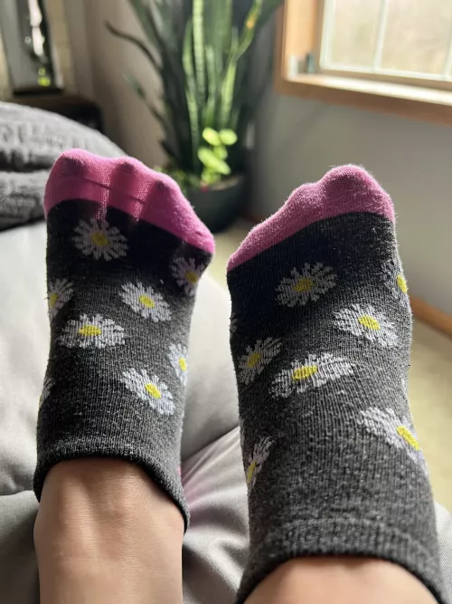 what a cute little pattern, but i promise they don’t smell like flowers 🌼🤣🦶🏻 by MsMadiWilder