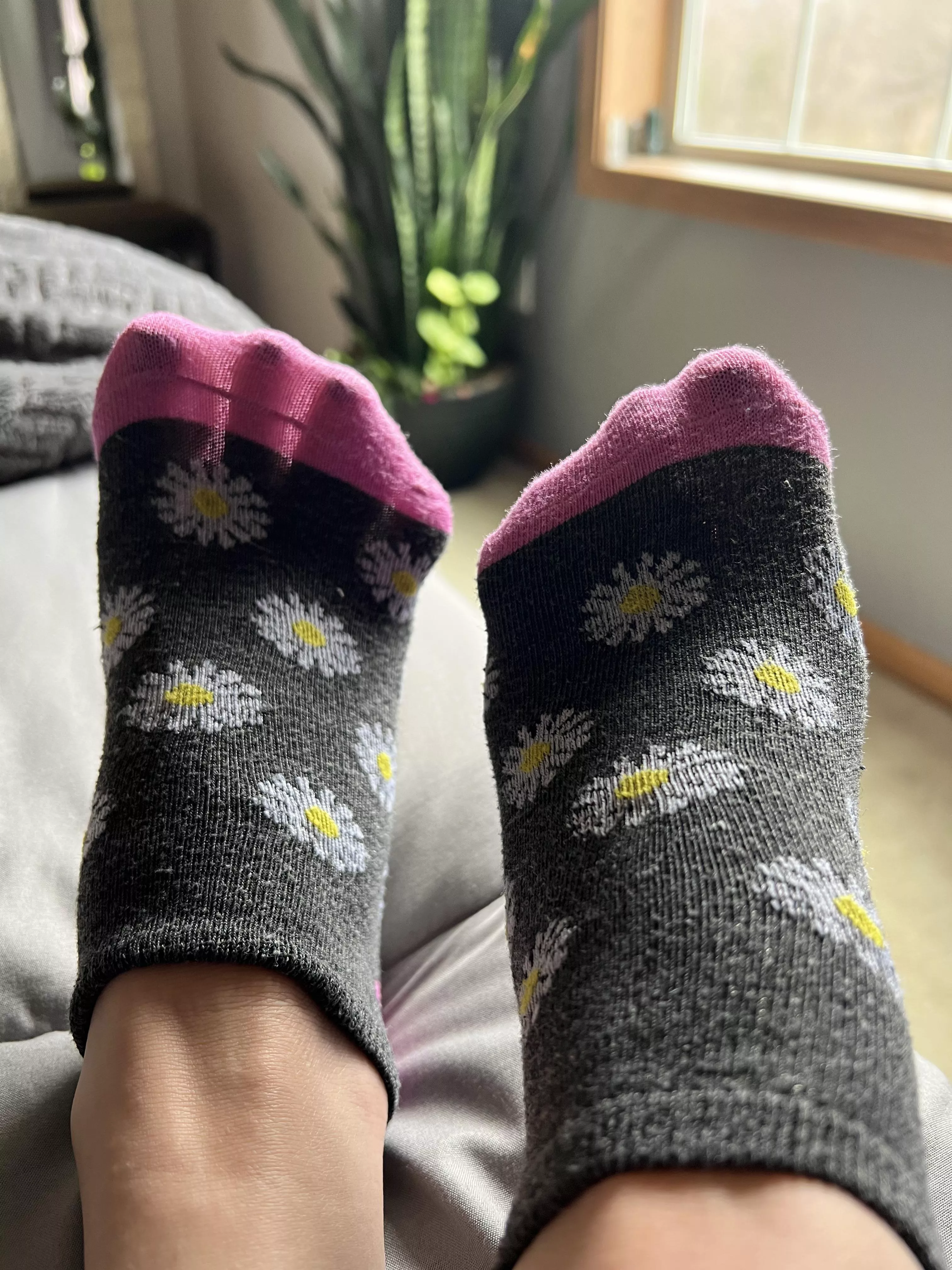 what a cute little pattern, but i promise they don’t smell like flowers 🌼🤣🦶🏻 posted by MsMadiWilder