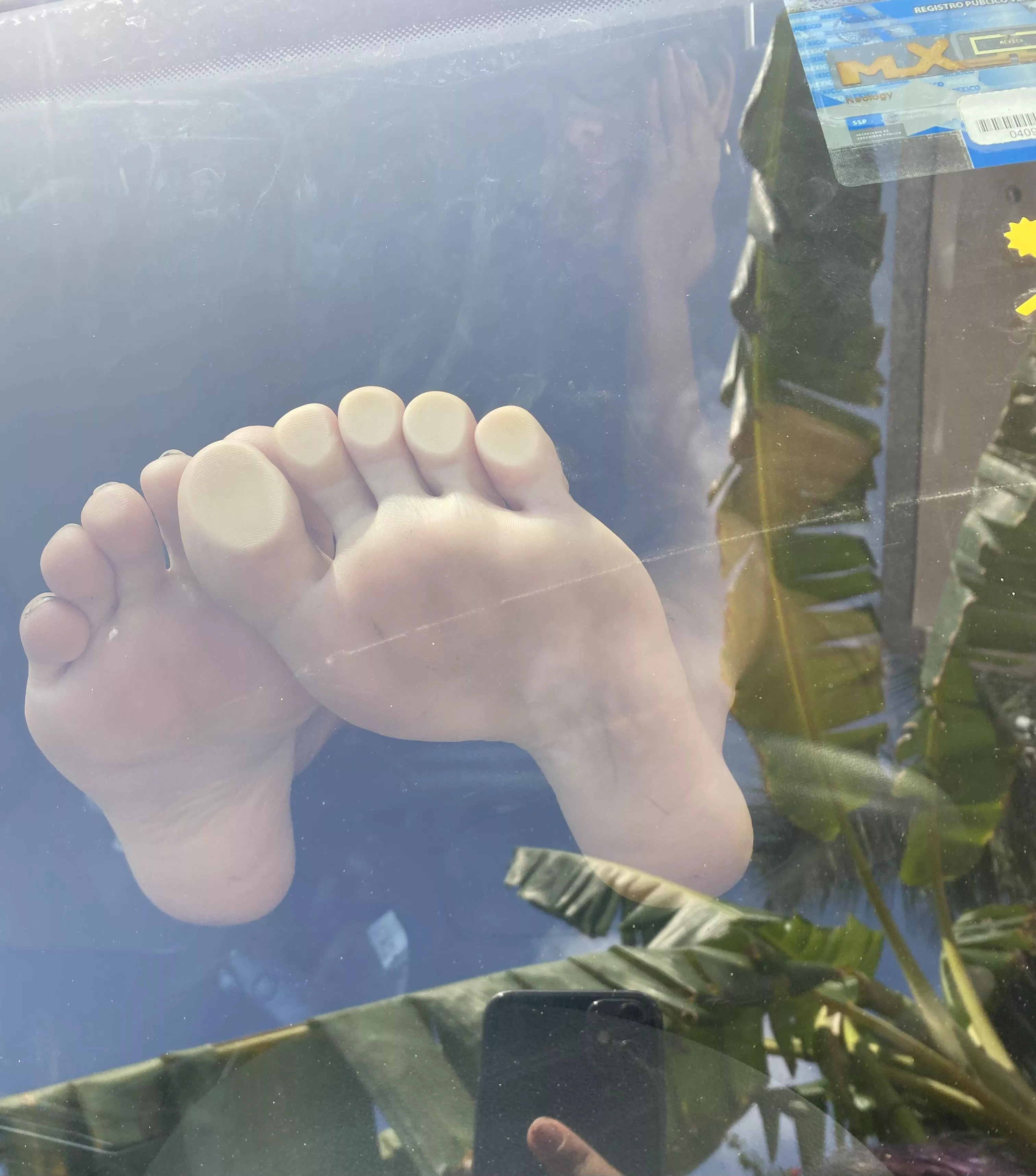 What a good photo in my car posted by Littlecutep0ny_