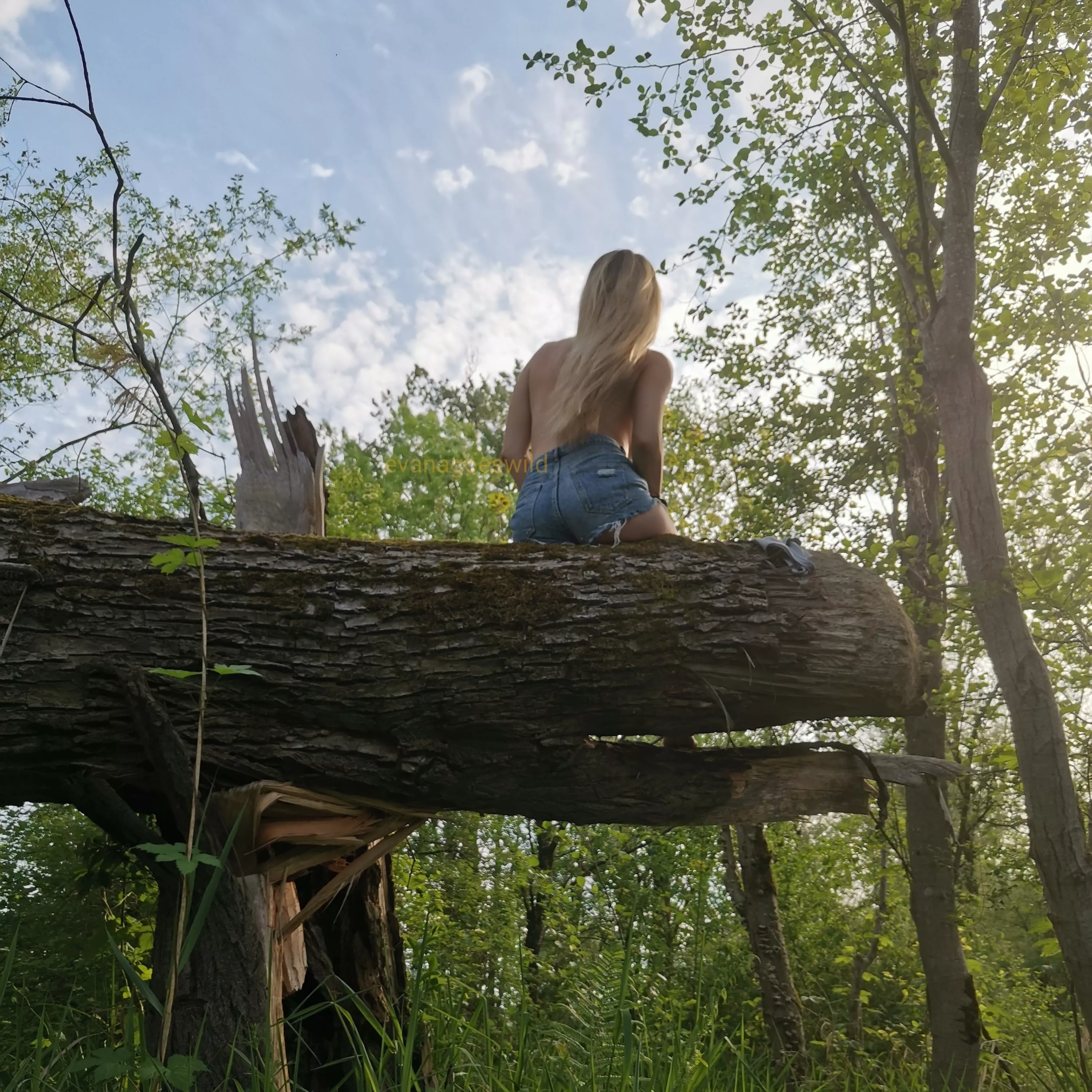 what a good view. hmm posted by evanagoeswild