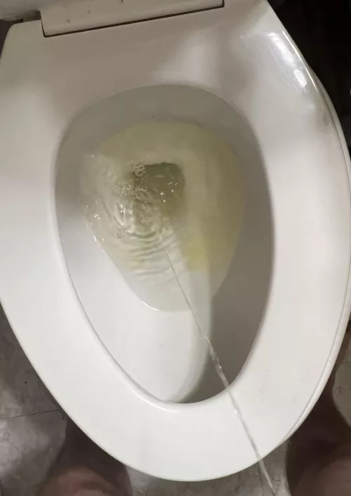 What a nice feeling it is to take a long piss by No_Maximum1810