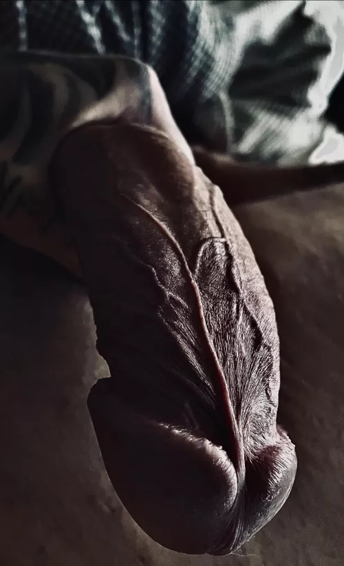 What are you up to? And what’s your verdict on my cock? by Sir-Libido