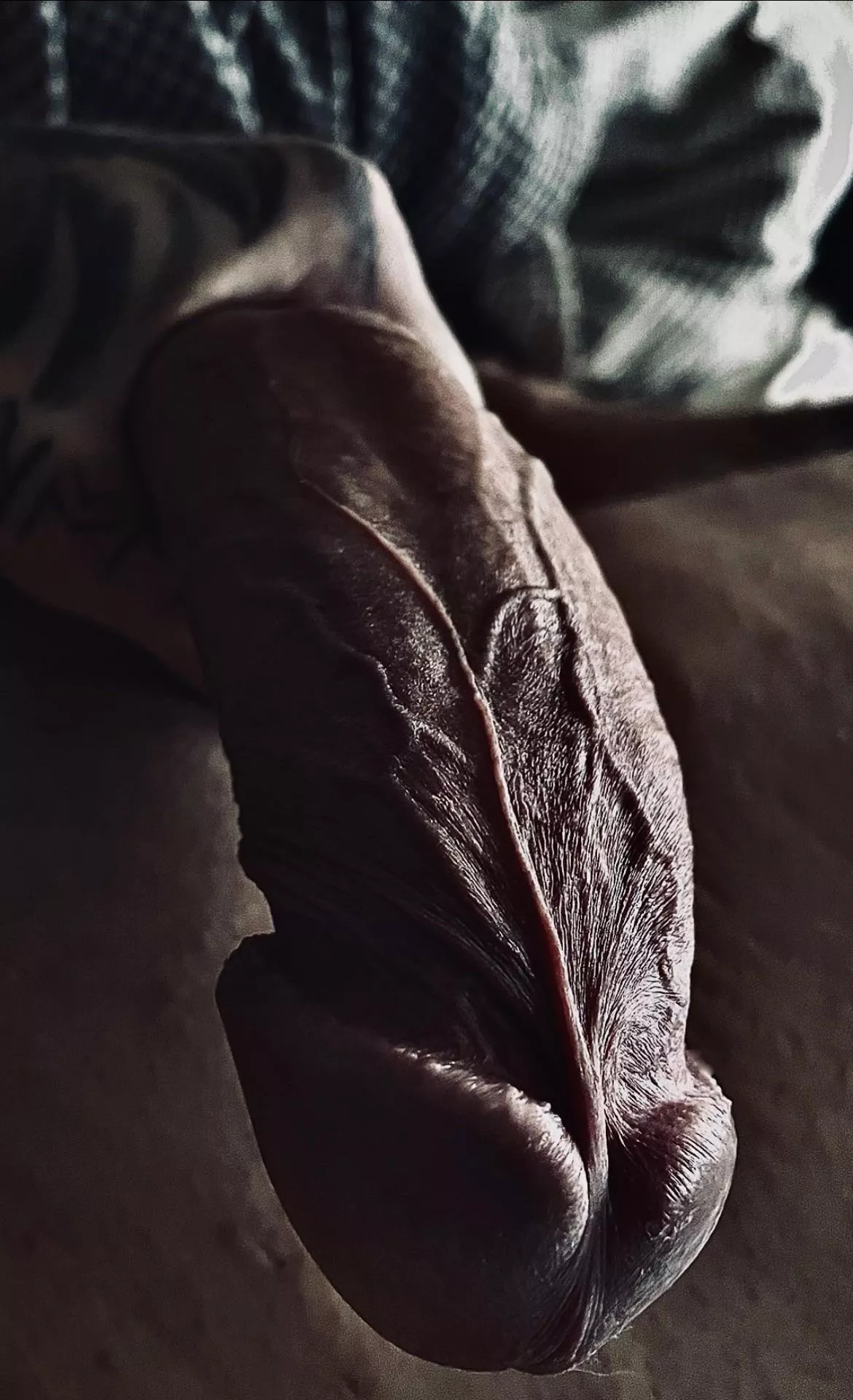 What are you up to? And what’s your verdict on my cock? posted by Sir-Libido