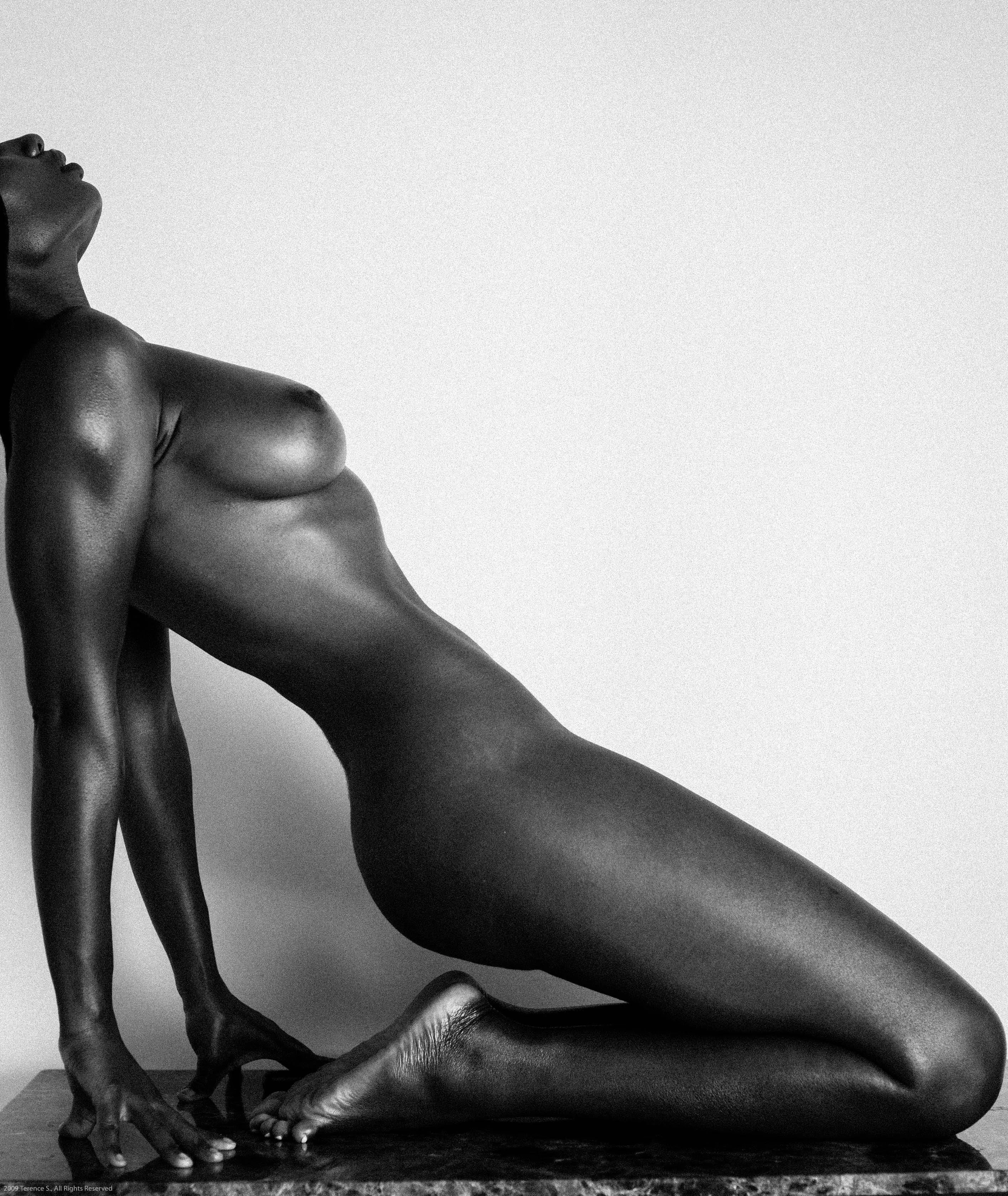 What are you waiting for? posted by shastawonder